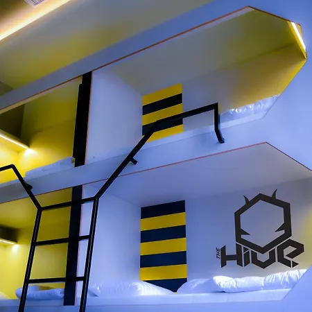 אכסניה The Hive Party
