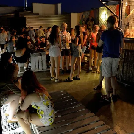 The Hive Party אכסניה