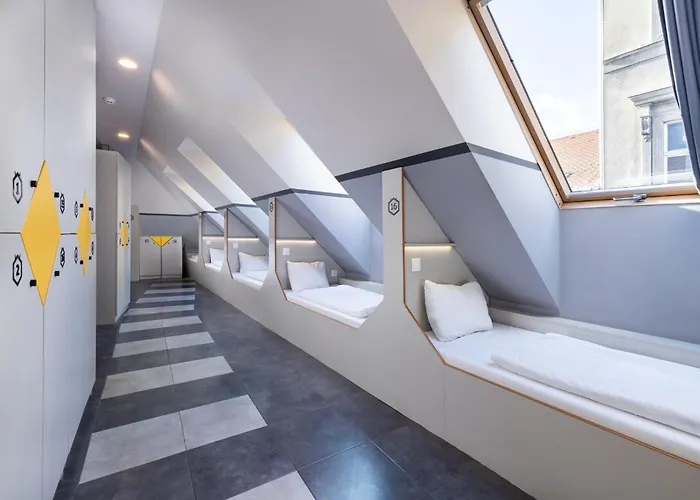 The Hive Party Albergue *