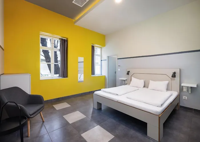 Albergue The Hive Party