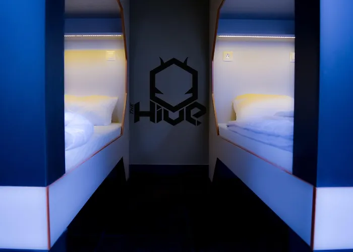 Albergue The Hive Party