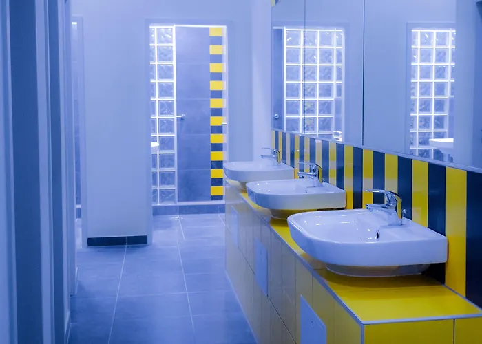 The Hive Party Albergue *