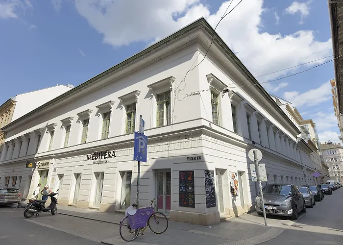 Albergue The Hive Party *