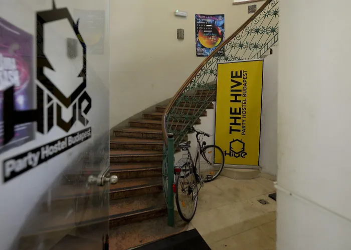 The Hive Party Albergue
