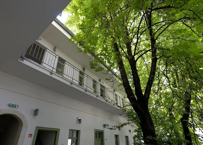 The Hive Party Albergue