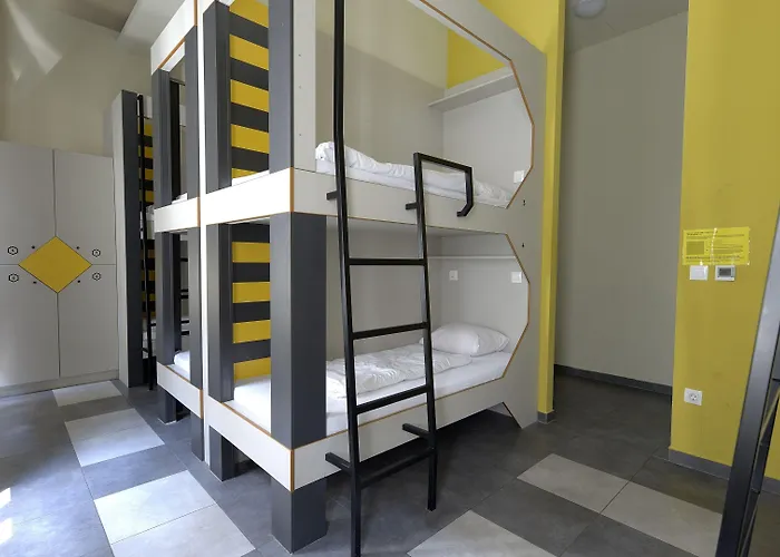 The Hive Party Albergue