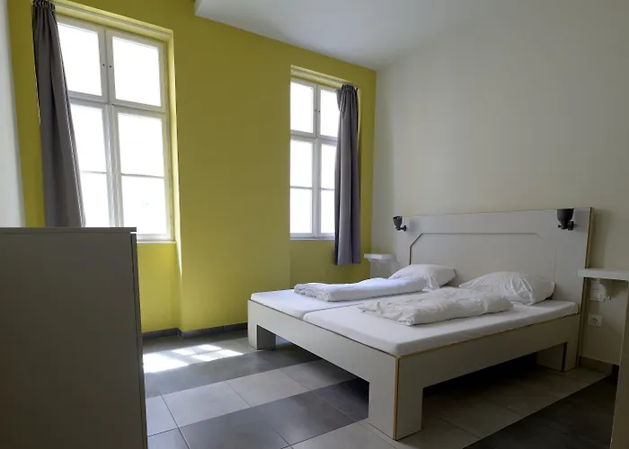 The Hive Party Albergue