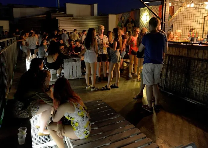 The Hive Party Albergue