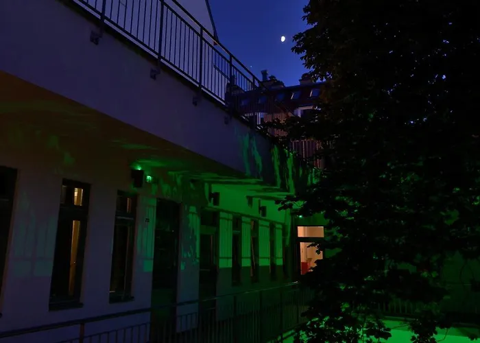 Albergue The Hive Party *