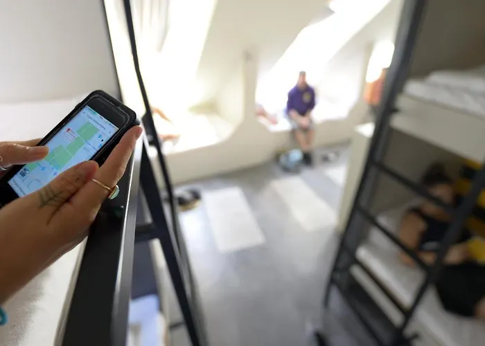 The Hive Party Auberge de jeunesse