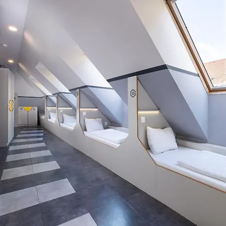 The Hive Party Hostel *
