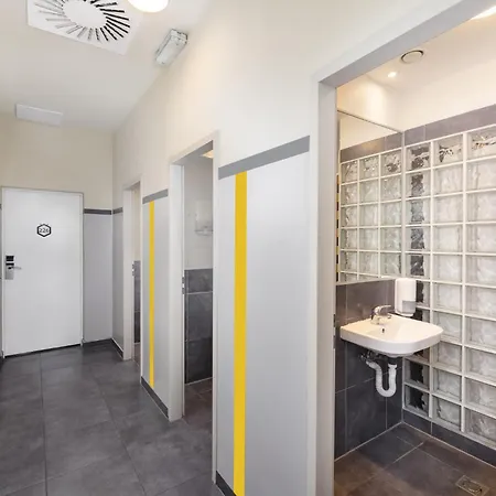 The Hive Party * بودابست