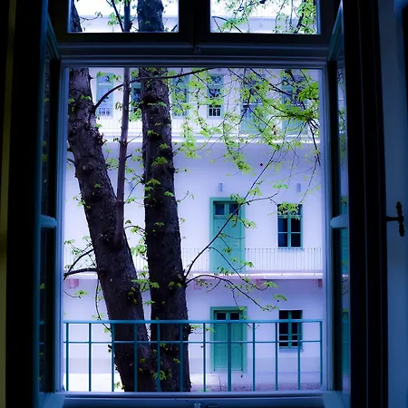 The Hive Party Auberge de jeunesse *