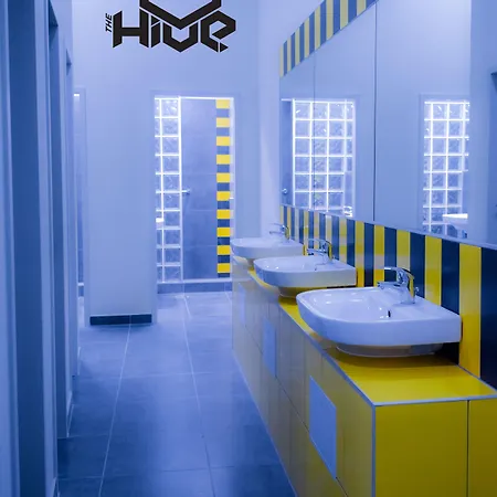 ザ　ハイブ　パーティー　ホステル　ブダペスト ホステル *