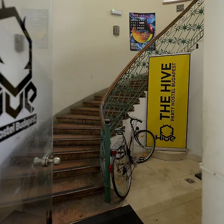The Hive Party Hostel