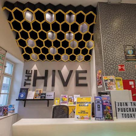 Auberge de jeunesse The Hive Party