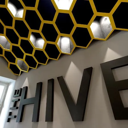 Hostel The Hive Party *