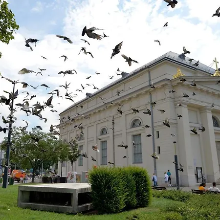 The Hive Party * بودابست