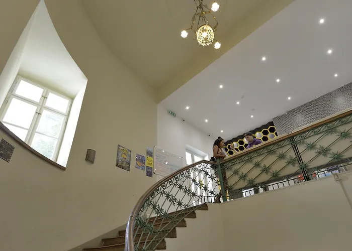 ザ　ハイブ　パーティー　ホステル　ブダペスト