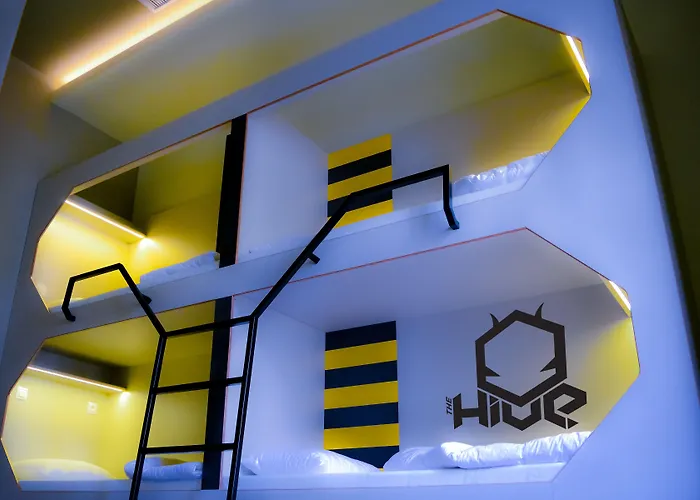 Hostel The Hive Party