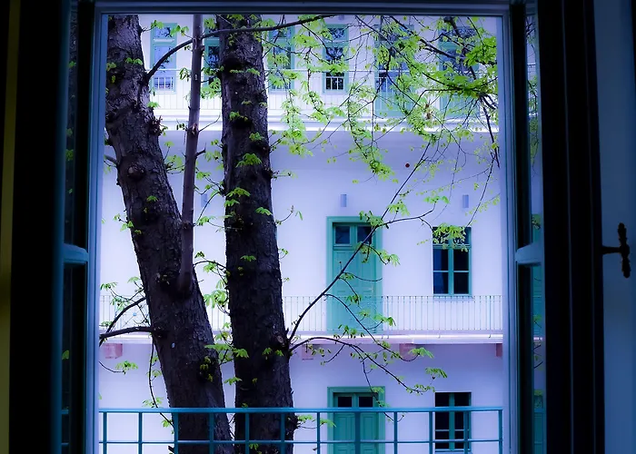 The Hive Party Hostel *