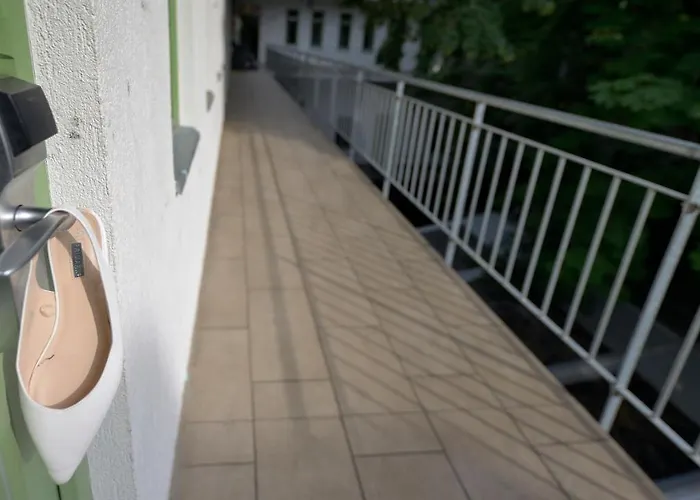 The Hive Party * Budapest