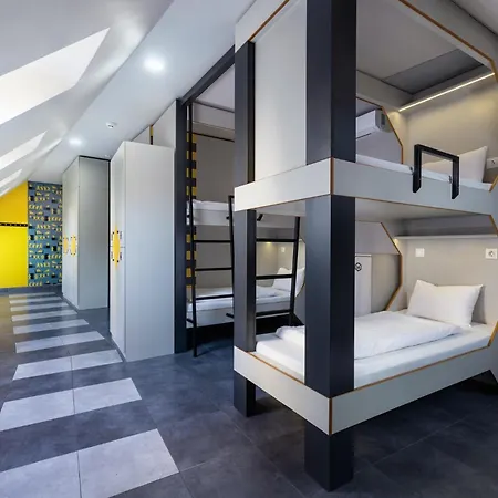 하이브 파티 호스텔