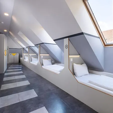 하이브 파티 호스텔 *