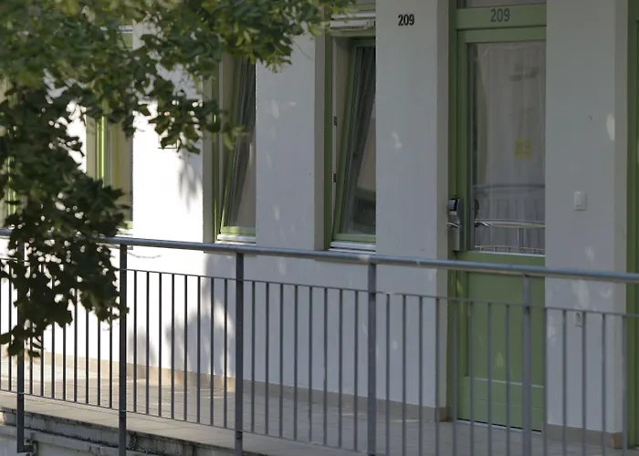 호스텔 하이브 파티 *