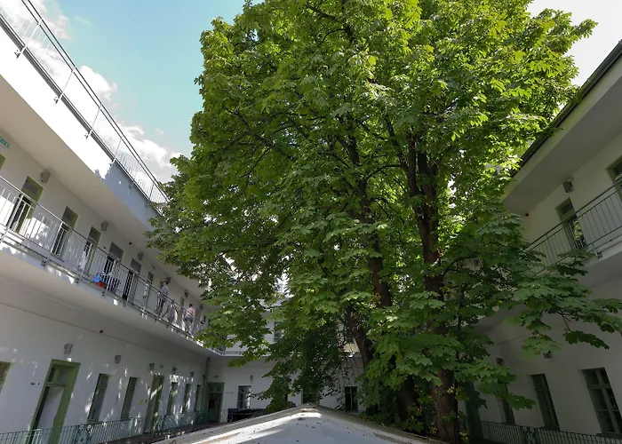 하이브 파티 부다페스트