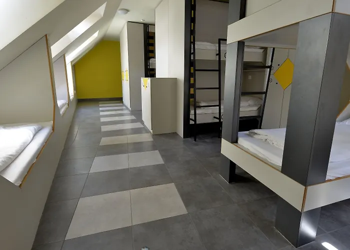 하이브 파티 호스텔